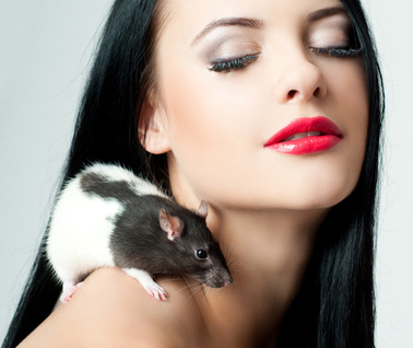 Kosmetika: Tierversuche in Deutschland