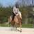 Westernreiten, wie im wilden Westen