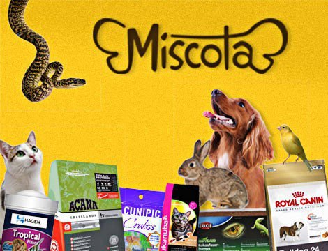 Miscota - Tierzubehör