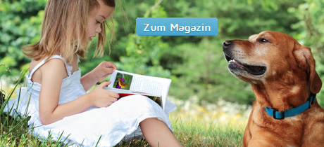 Hundemagazin