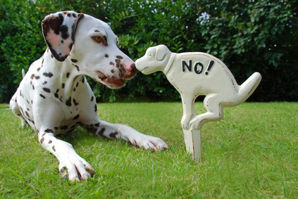 Hund mit Schild