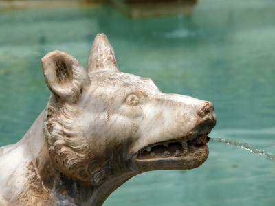 Hund Brunnen