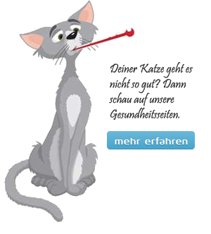 Katze mit Thermometer
