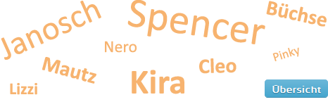 verschiedene Katzennamen