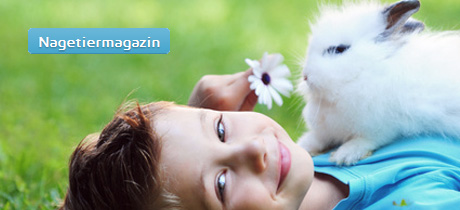 Nagetiermagazin